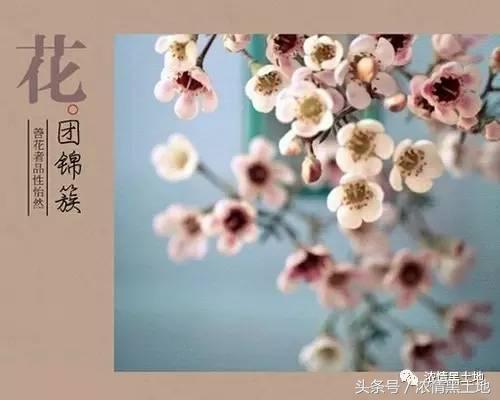 李树春｜中国古人的八大雅事