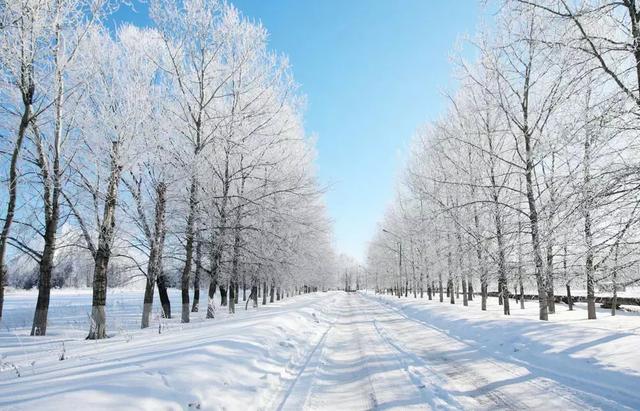小诗：雪韵情藏