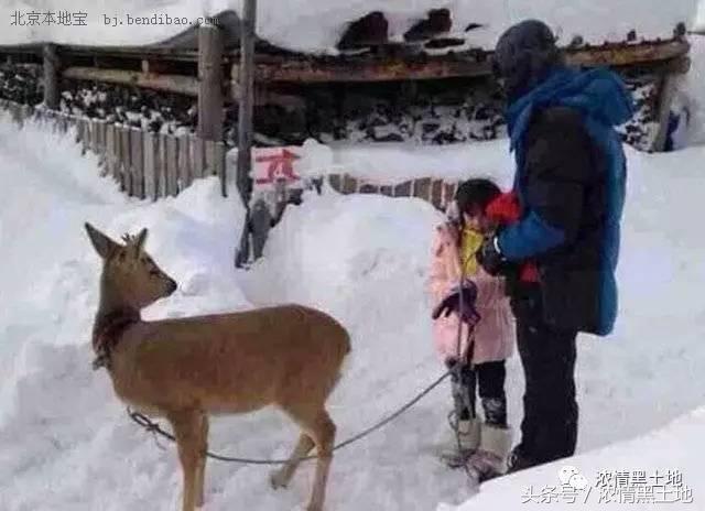 赵文新：雪中圣洁的父爱