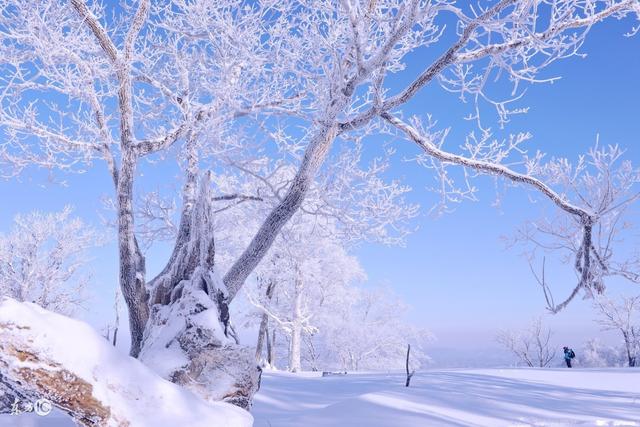 我陪妈妈看冰雪