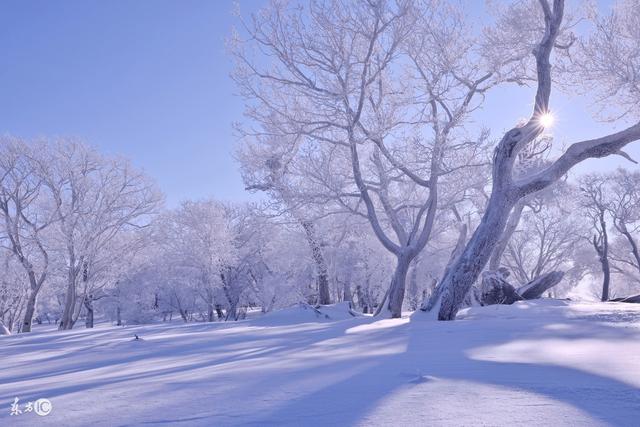 我陪妈妈看冰雪